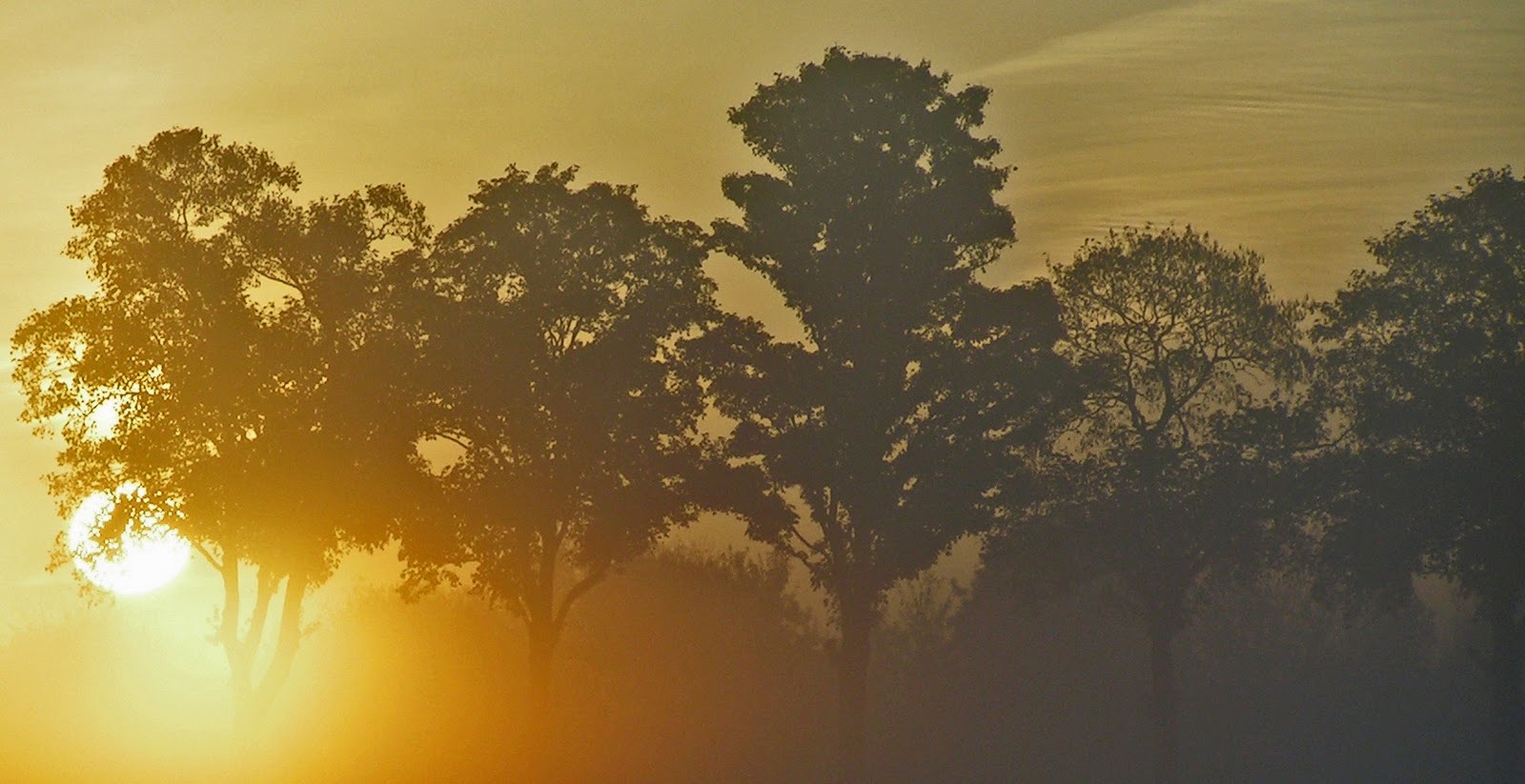 Charmes méconnus du Hurepoix .: août 2010